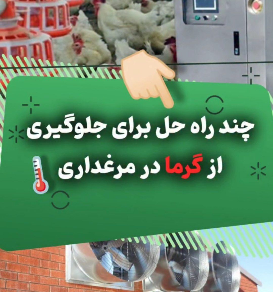 چند راه حل برای جلوگیری از گرما در مرغداری