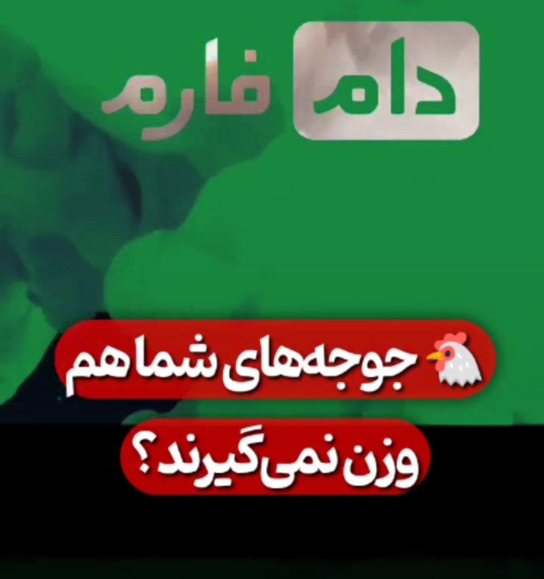 بیماری کوکسیدیو