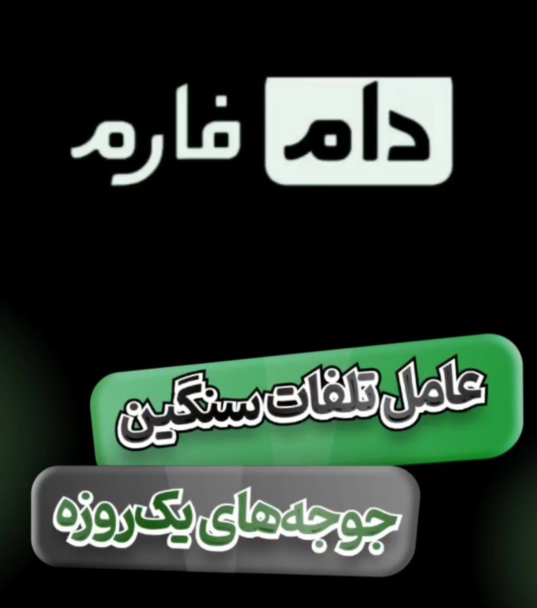 عامل تلفات سنگین جوجه های یکروزه