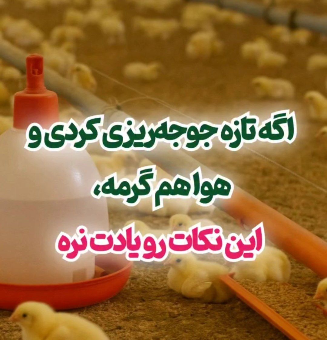 بهترین زمان تغذیه در تابستان